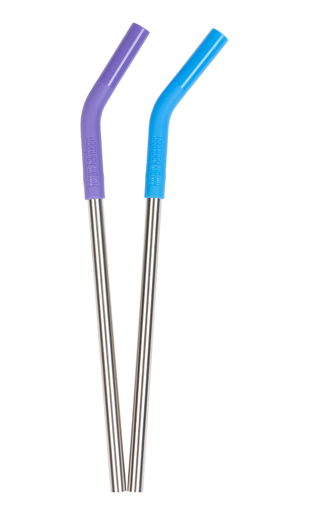 Stainless Steel Straw 2-Pack